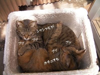 サイダー工場05