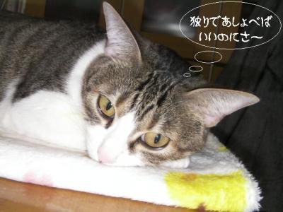 センターかも06