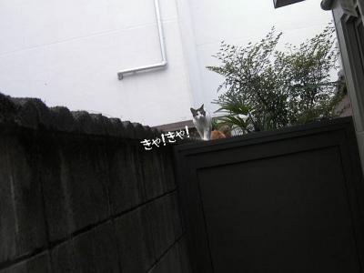 いいもん03