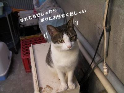 ごは~ん03