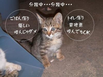 仲良し組03