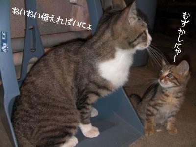 仲良し組04