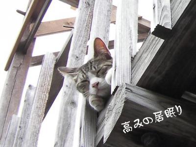 微睡み02