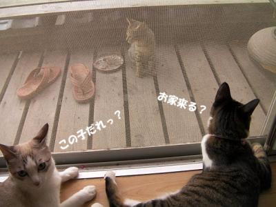 ご対面02