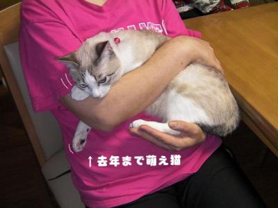 お披露目01