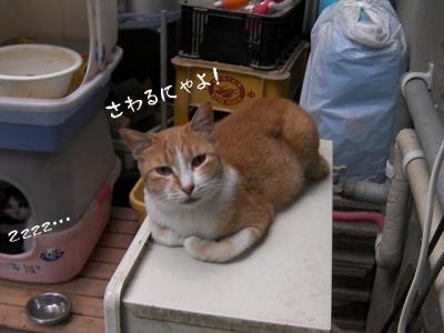 微睡み04