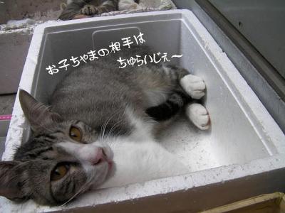 微睡み07