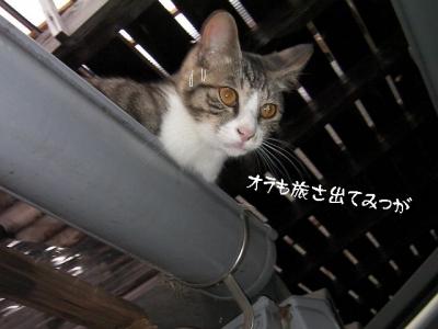 ぷち家出01
