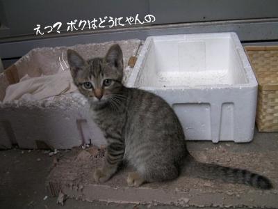 ぷち家出03