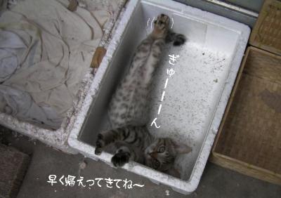ぷち家出04