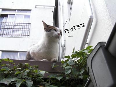 ぷち家出07