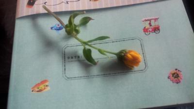 20130211_082912.jpg
