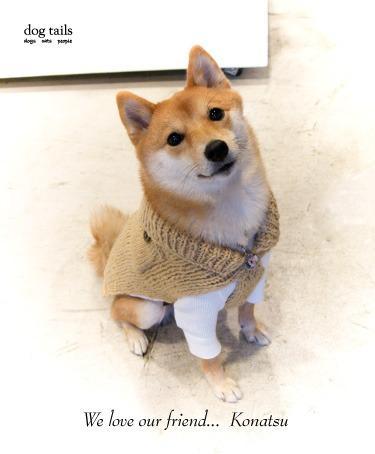 201312.jpg