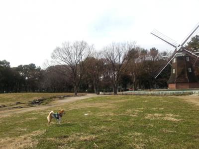 20131223_112147_convert_20131224132532.jpg