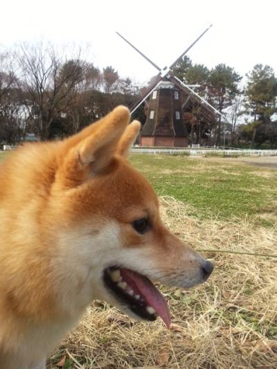 20131223_112227_convert_20131224132548.jpg