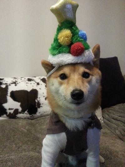 20131224_191147_convert_20131225082020.jpg