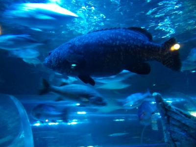 20110923-1.jpg