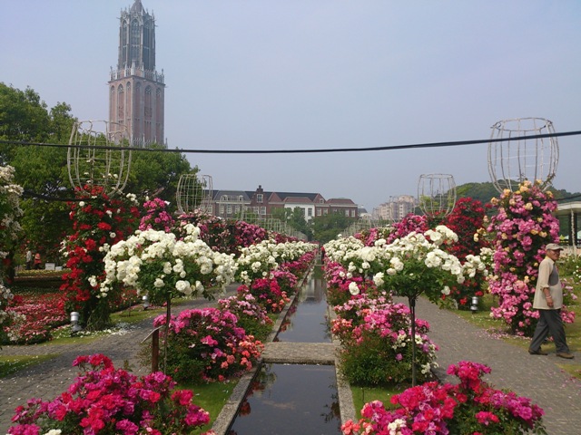 DSC_0174.jpg