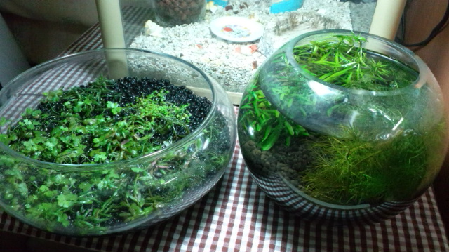 120427_220620.jpg