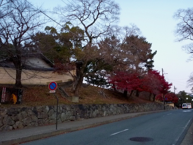 20131205_02.jpg