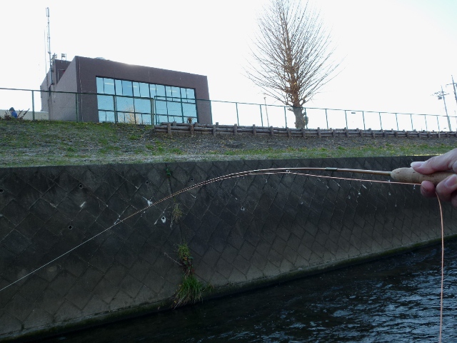 20131214_01.jpg