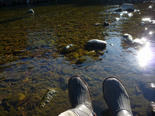 20131214_06.jpg