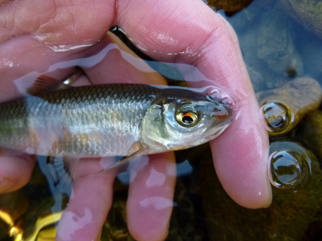 20131214_09.jpg