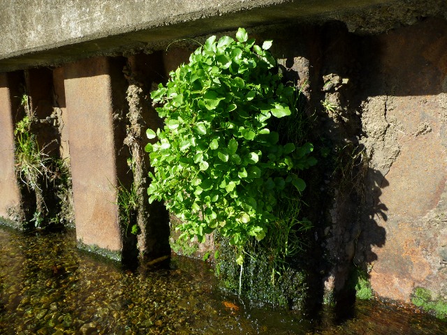 20131214_12.jpg