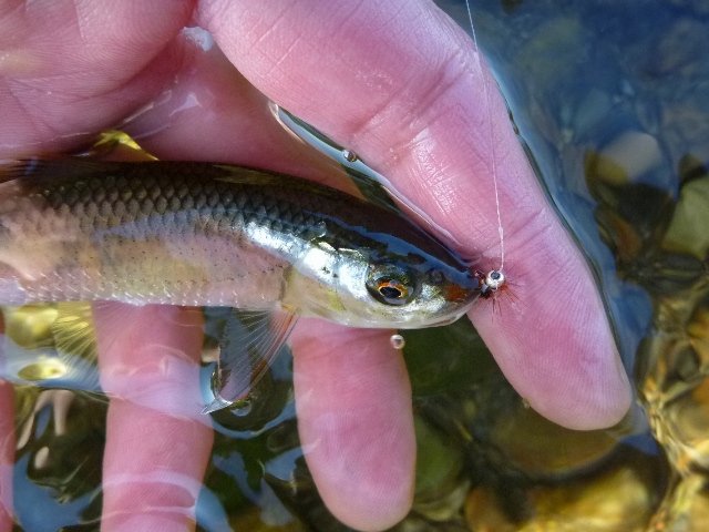 20131215_04.jpg