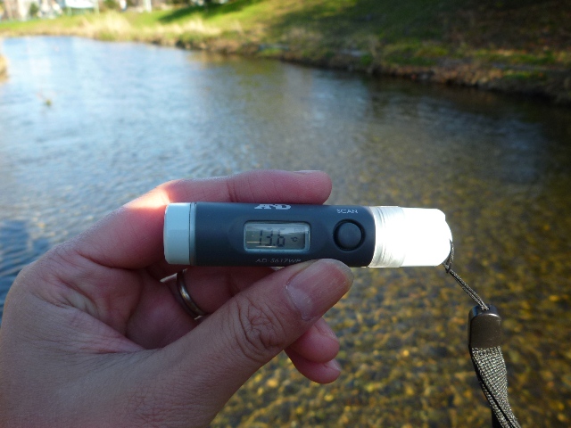 20131215_05.jpg