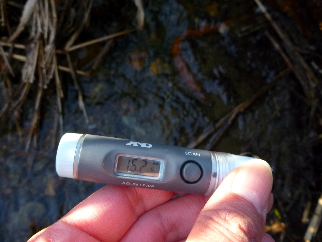 20131215_06.jpg