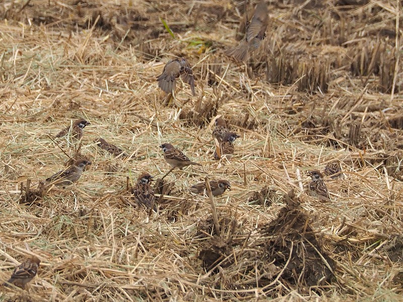 P9151739.jpg