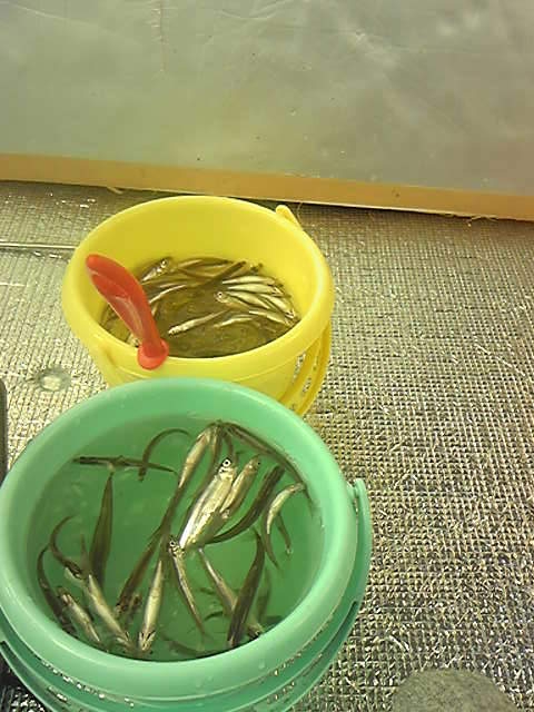 130201_104352.jpg