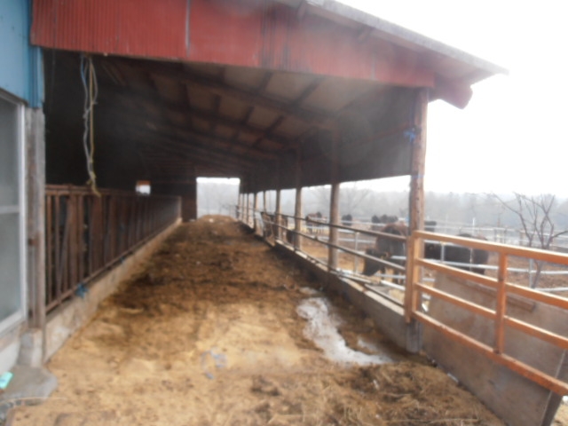 P2020143.jpg