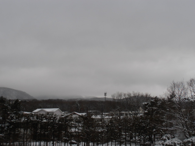 P2070197.jpg