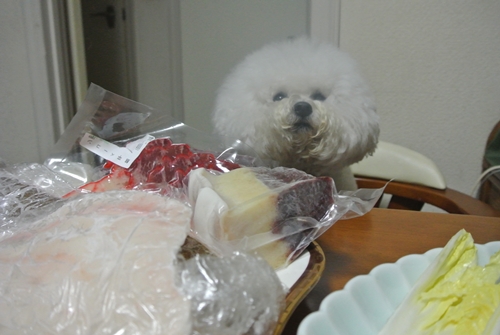 DSC_0987.jpg