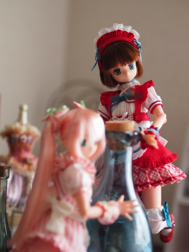 P1010054.jpg