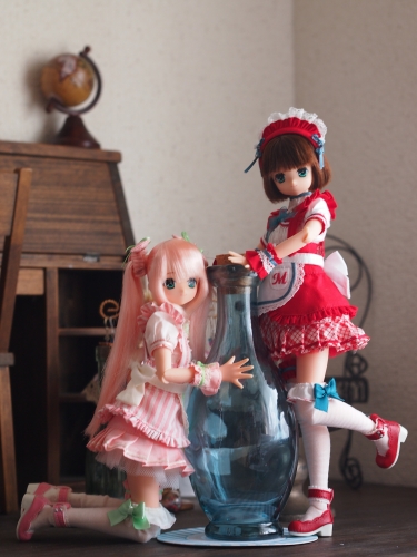 P1010058.jpg
