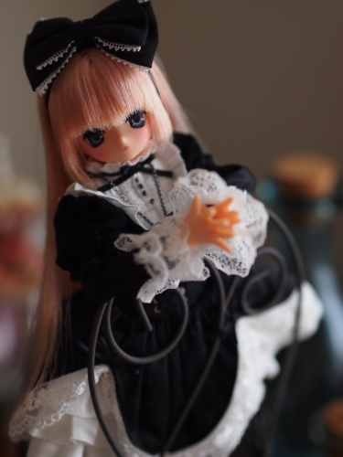 P1010098.jpg