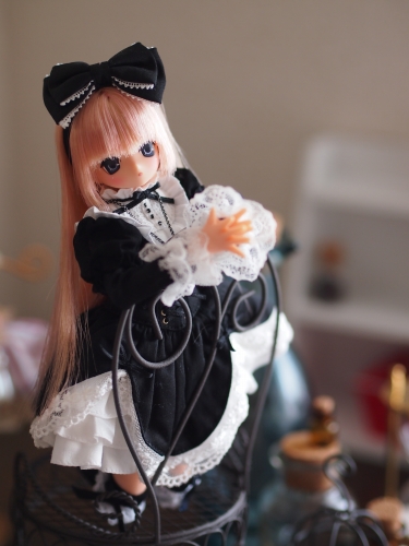 P1010100.jpg