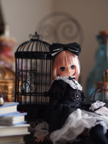 P1010155.jpg