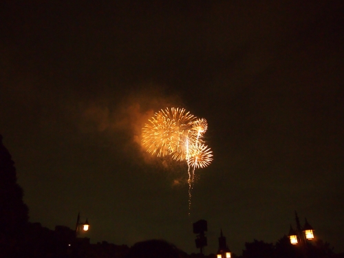P1014557.jpg