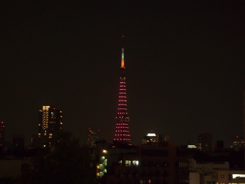 P1014829_20141002142549de3.jpg