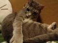 20110825zill.jpg