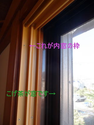 P1070330-11.jpg