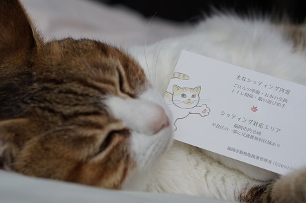 猫楽さん