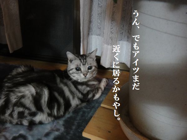 DSC07855.jpg