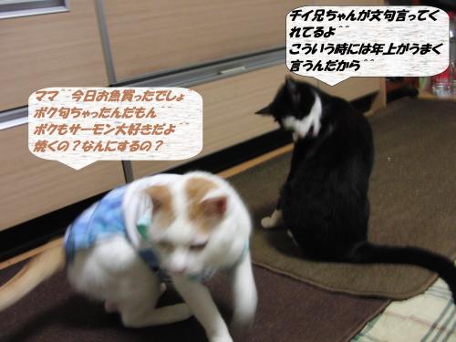 CIMG5528_convert_20131212094901.jpg