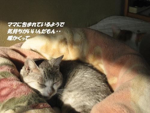 IMG_1550_convert_20131224064321.jpg