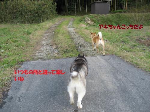 IMG_1559_convert_20131213080055.jpg